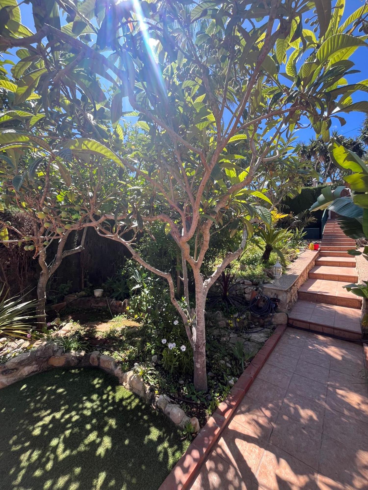 Hébergement de vacances Casa Palmerita A 7 Minutos Andando De Playa De Aguas Cristalinas *